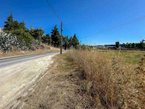 Terreno com 19.640 m² em Alcanena – Oportunidade!