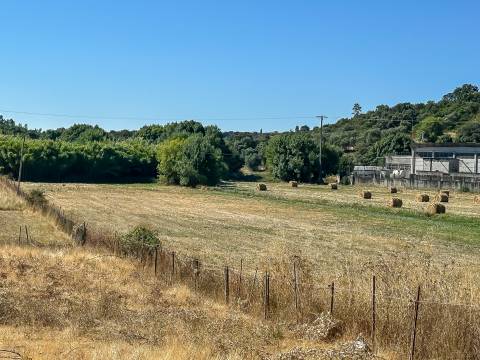 Terreno com 19.640 m² em Alcanena – Oportunidade!