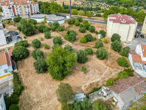 Terreno Urbano para construção em Torres Novas