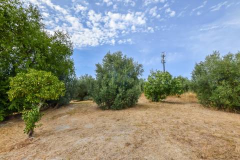 Terreno Urbano para construção em Torres Novas