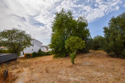 Terreno Urbano para construção em Torres Novas