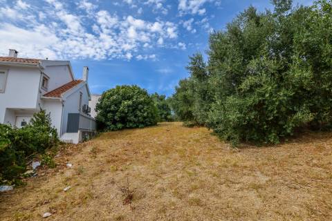 Terreno Urbano para construção em Torres Novas