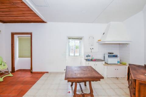 Moradia T3 com Garagem e Poço em Alcorochel, Torres Novas