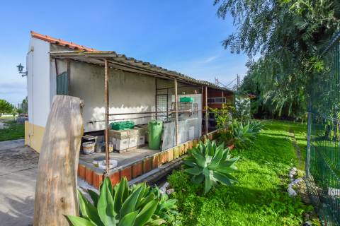 Moradia T3 em Carril - Torres Novas