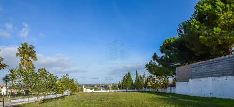 Moradia T3 em Carril - Torres Novas