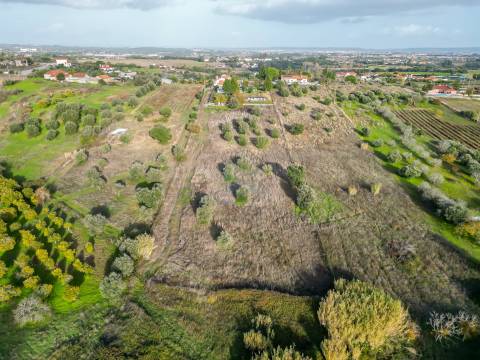 Moradia T3 em Carril - Torres Novas