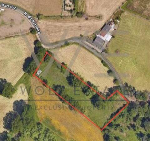 Terreno Rústico  Venda em Celeirós, Aveleda e Vimieiro,Braga
