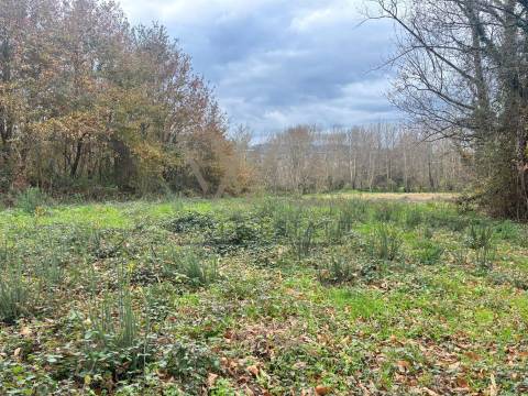 Terreno Rústico  Venda em Celeirós, Aveleda e Vimieiro,Braga