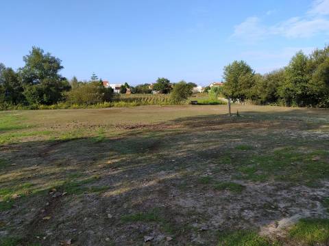 Terreno Urbano  Venda em Ílhavo (São Salvador),Ílhavo