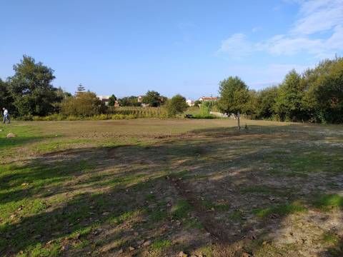 Terreno Urbano  Venda em Ílhavo (São Salvador),Ílhavo