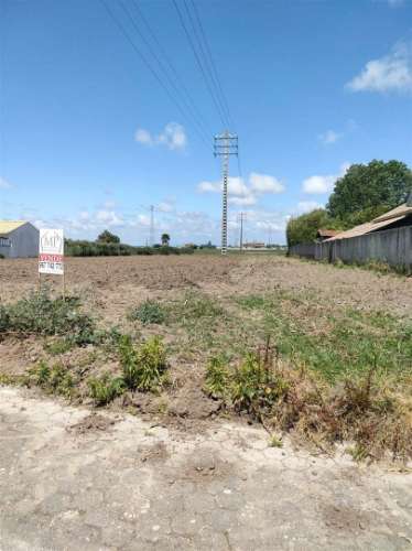 Terreno em Ilhavo p/ Contrução Moradia. 1800m2/11metros de frente.