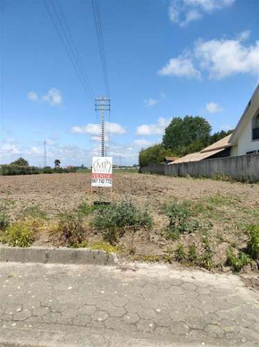 Terreno em Ilhavo p/ Contrução Moradia. 1800m2/11metros de frente.