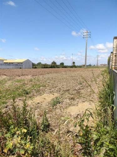 Terreno em Ilhavo p/ Contrução Moradia. 1800m2/11metros de frente.