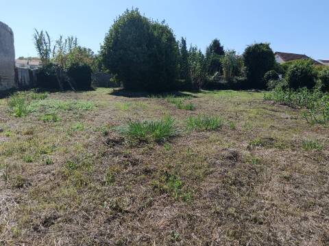 Moradia Centro de Ilhavo, c/duas entradas independentes p/restaurar c/potencial p/várias frações.