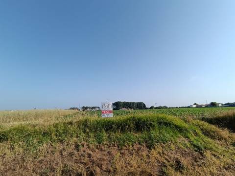 Terreno Rústico com 1380m2 e 15 de frente em Ilhavo.