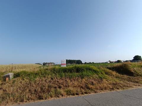 Terreno Rústico com 1380m2 e 15 de frente em Ilhavo.