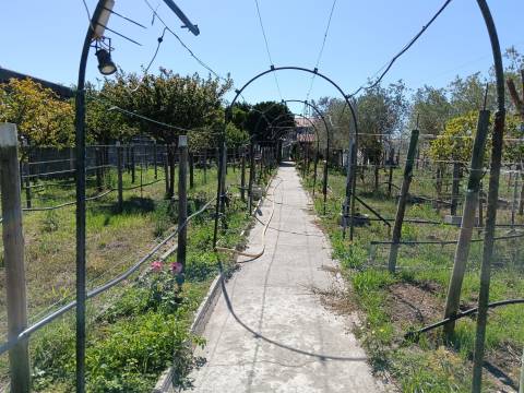 Moradia T5 Venda em Ílhavo (São Salvador),Ílhavo