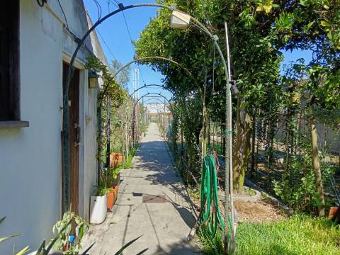 Moradia T5 Venda em Ílhavo (São Salvador),Ílhavo