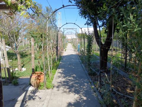 Terreno Urbano  Venda em Ílhavo (São Salvador),Ílhavo