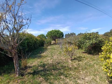 Moradia T4 Isolada com Vista Ria na Gafanha da Boavista. Quintal, jardim e garagem.