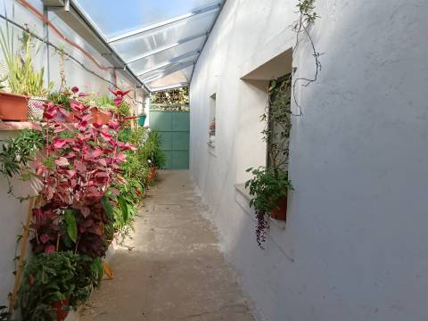 Moradia T3 Térrea, c/ pátio coberto,quintal magnífico na Fogueira,Sangalhos.