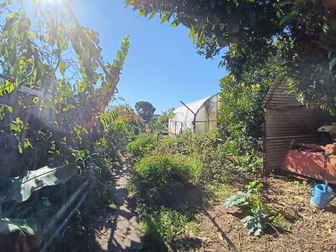 Moradia T3 Térrea, c/ pátio coberto,quintal magnífico na Fogueira,Sangalhos.