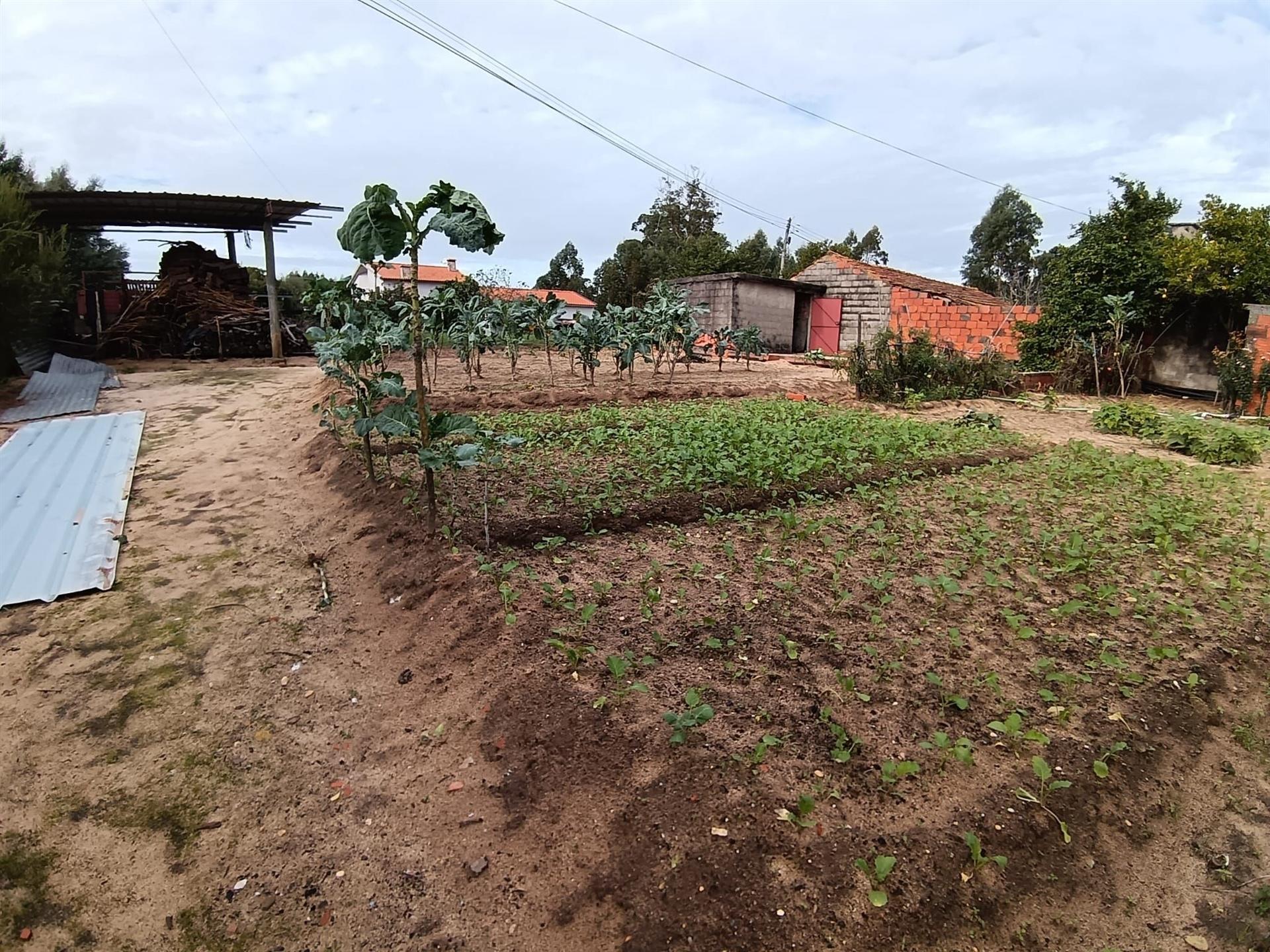 Moradia Devoluta T1 Venda em Oliveira do Bairro,Oliveira do Bairro