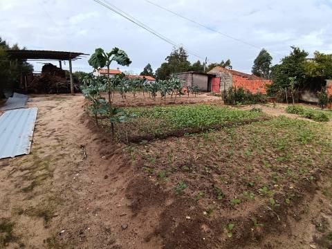 Moradia Devoluta T1 Venda em Oliveira do Bairro,Oliveira do Bairro