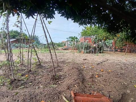 Moradia Devoluta T1 Venda em Oliveira do Bairro,Oliveira do Bairro