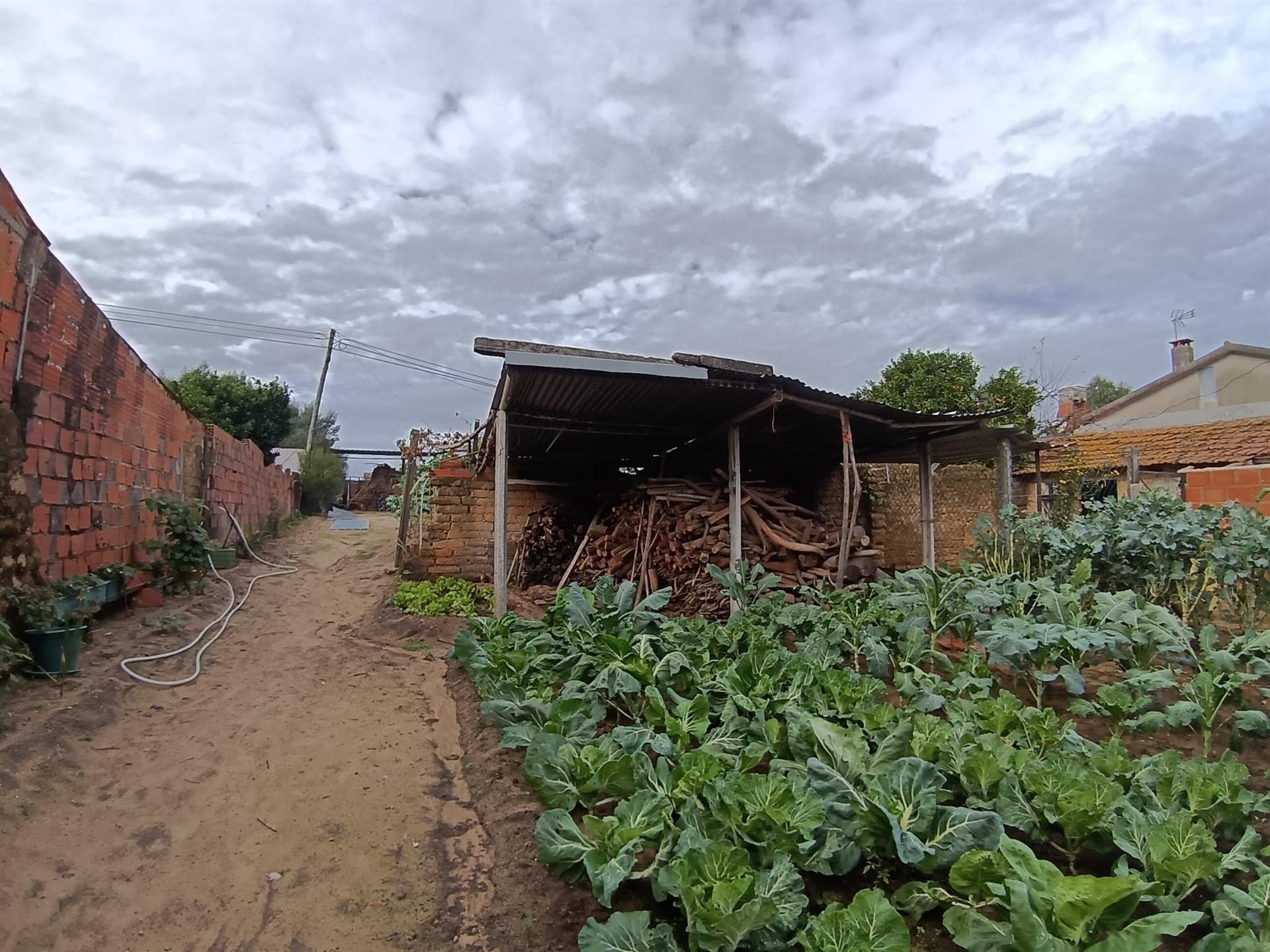 Moradia Devoluta T1 Venda em Oliveira do Bairro,Oliveira do Bairro