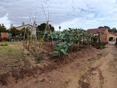 Moradia Devoluta T1 Venda em Oliveira do Bairro,Oliveira do Bairro