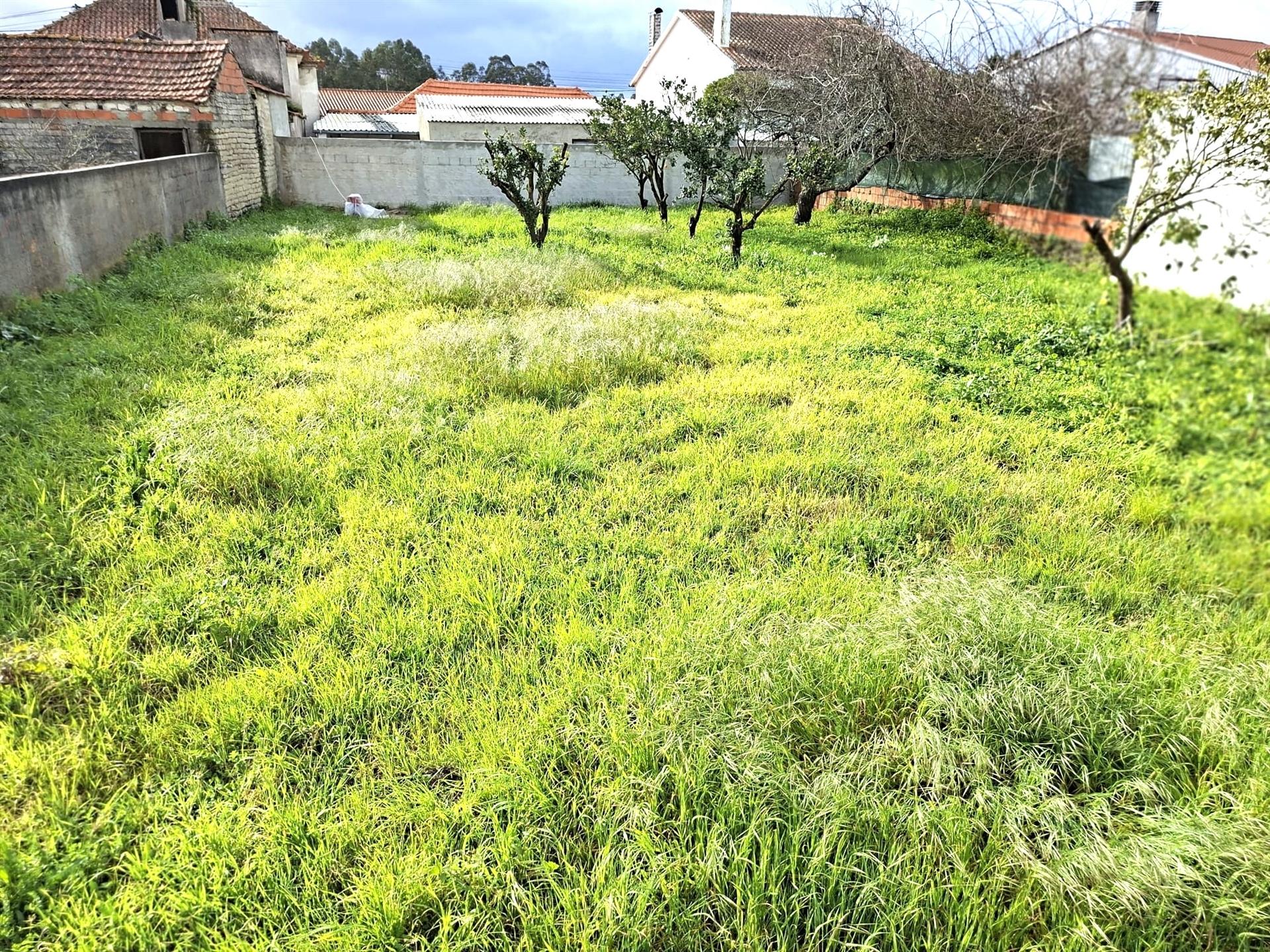 Terreno para moradia isolada e térrea em São Romão, Vagos.