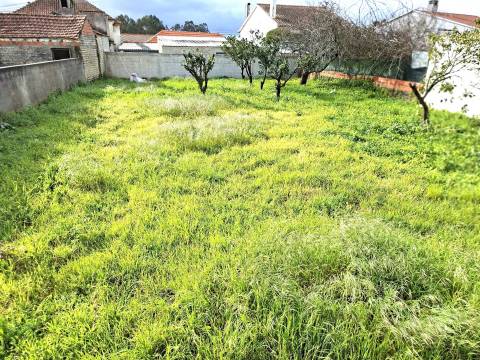 Terreno para moradia isolada e térrea em São Romão, Vagos.