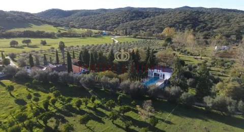 Quinta T5 Venda em Évora Monte (Santa Maria),Estremoz