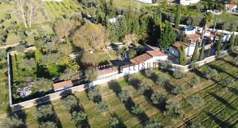 Quinta T5 Venda em Évora Monte (Santa Maria),Estremoz