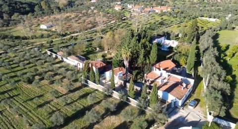 Quinta T5 Venda em Évora Monte (Santa Maria),Estremoz