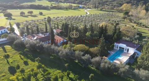 Quinta T5 Venda em Évora Monte (Santa Maria),Estremoz