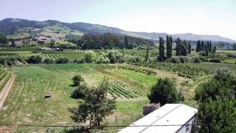 Terreno para construção localizado na Aldeia Grande, Maxial