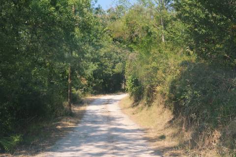 Quinta  Venda em Vilar de Nantes,Chaves
