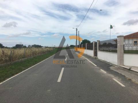 Terreno  Venda em Sosa,Vagos