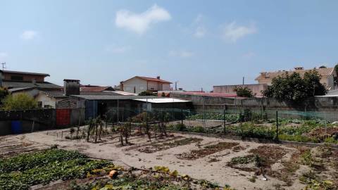 Terreno Gafanha da Nazaré com frente de 26 mts