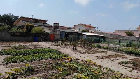 Terreno Gafanha da Nazaré com frente de 26 mts