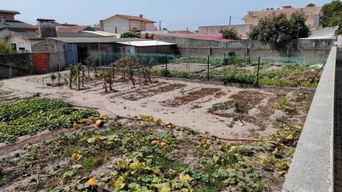 Terreno Gafanha da Nazaré com frente de 26 mts