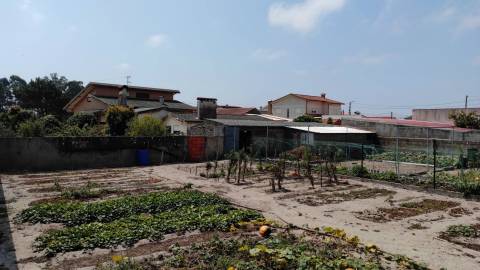 Terreno Gafanha da Nazaré com frente de 26 mts