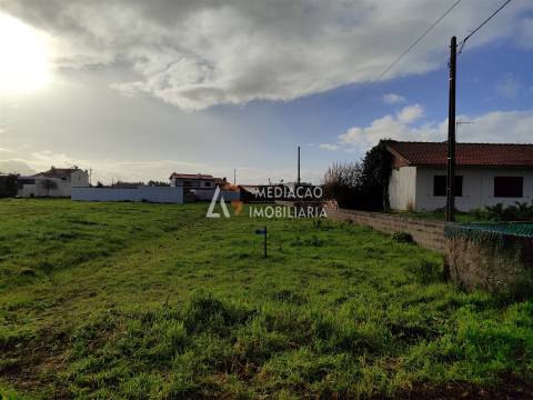 Terreno  Venda em Vagos e Santo António,Vagos