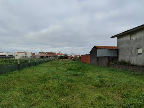 Terreno  Venda em Gafanha da Nazaré,Ílhavo