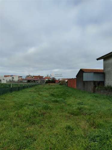 Terreno  Venda em Gafanha da Nazaré,Ílhavo