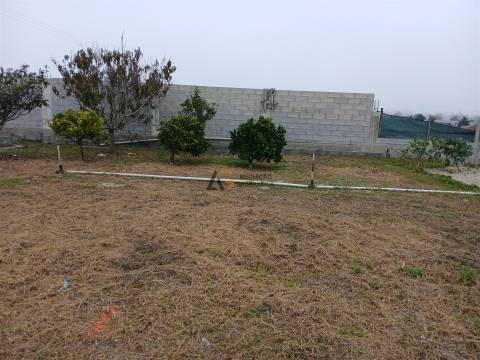 Moradia Terrea T3 à venda na Gafanha da Boa Hora !