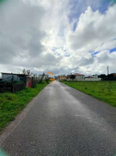 Terremo Rustico à venda na Gafanha da Encarnação