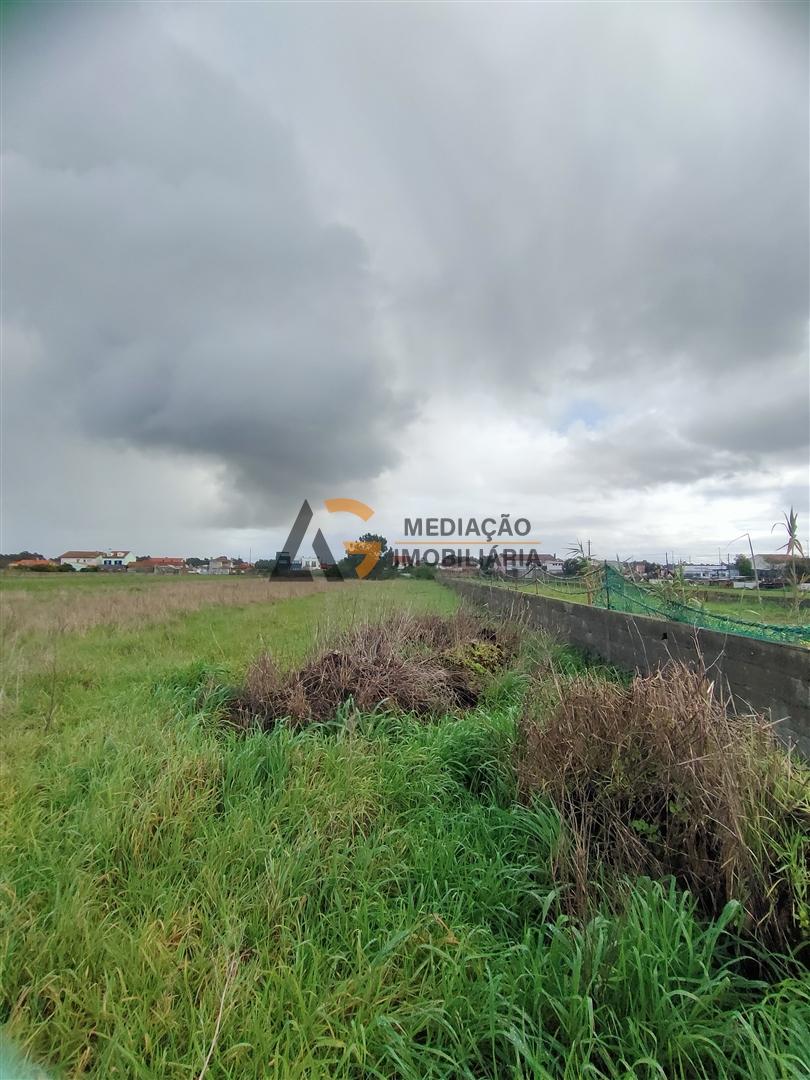 Terremo Rustico à venda na Gafanha da Encarnação